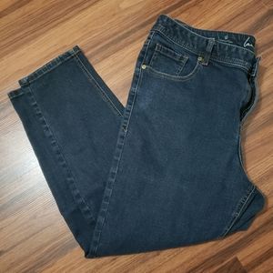 Lane Bryant Dark Wash Genius Fit Skinny Jeans
